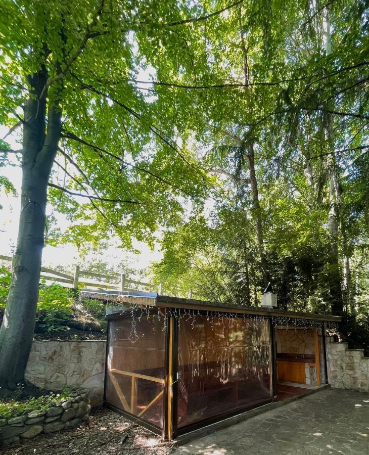 Villa Alexa 보로베츠 외부 사진